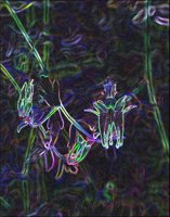 ART0131.jpg