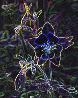ART0130.jpg