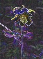 ART0129.jpg