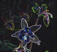 ART0128.jpg