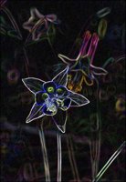 ART0127.jpg