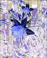 ART0126.jpg