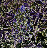 ART0125.jpg
