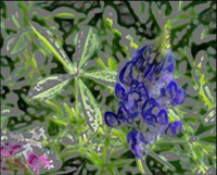 ART0119.jpg