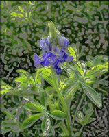 ART0118.jpg