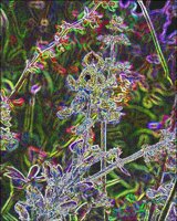 ART0115.jpg
