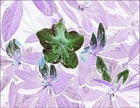 ART0114.jpg
