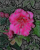 ART0113.jpg