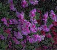 ART0111.jpg