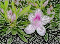 ART0110.jpg