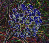 ART0101.jpg