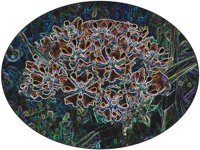 ART0100.jpg