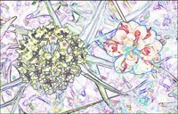 ART0098.jpg