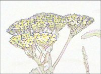 ART0897.jpg