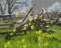 ART0892.jpg