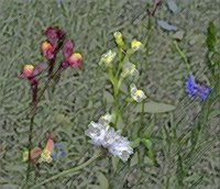 ART0890.jpg