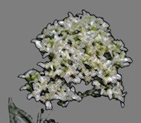 ART0881.jpg