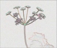 ART0880.jpg