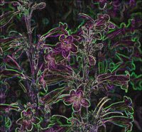 ART0878.jpg