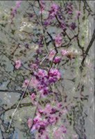 ART0875.jpg