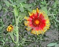 ART0871.jpg