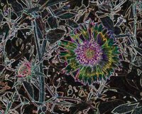 ART0870.jpg