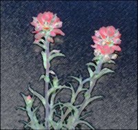 ART0868.jpg