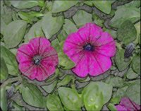 ART0867.jpg