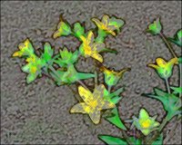 ART0863.jpg