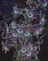 ART0860.jpg