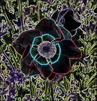 ART0854.jpg