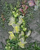ART0853.jpg