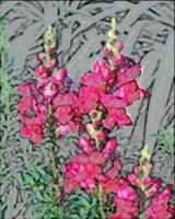 ART0852.jpg