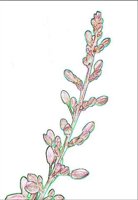 ART0846.jpg