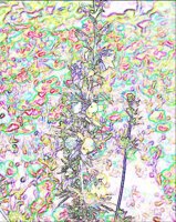 ART0844.jpg