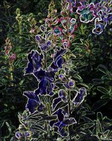 ART0843.jpg