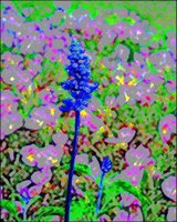 ART0842.jpg