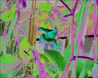 ART0840.jpg