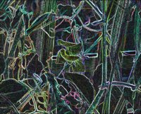 ART0835.jpg
