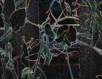 ART0834.jpg