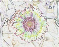 ART0831.jpg