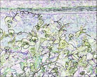 ART0829.jpg