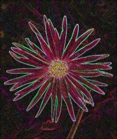 ART0825.jpg