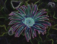 ART0824.jpg