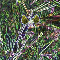 ART0820.jpg