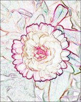 ART0817.jpg
