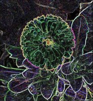 ART0815.jpg