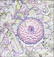 ART0814.jpg