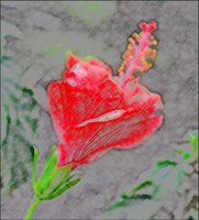 ART0813.jpg