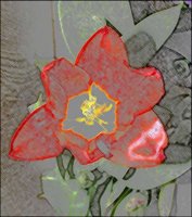 ART0808.jpg